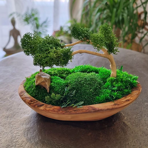 Zen Moss Bonsai Centerpiece