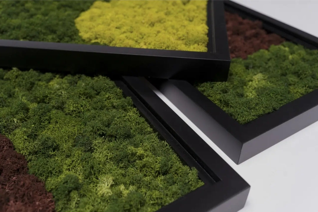 "The Mosscape" Moss Wall Frame Set Of 3