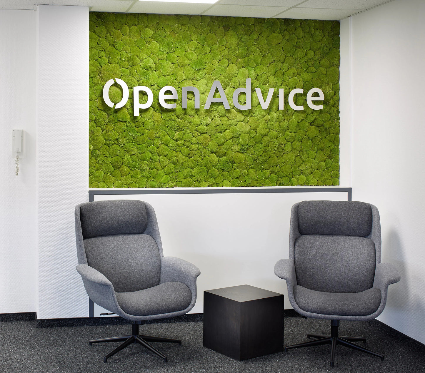 Logo-Integrated Moss Wall Design