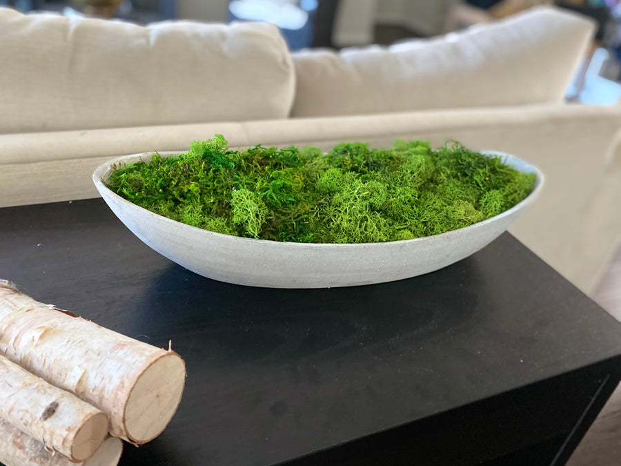 Preserved Moss Oval Bowl Arrangement