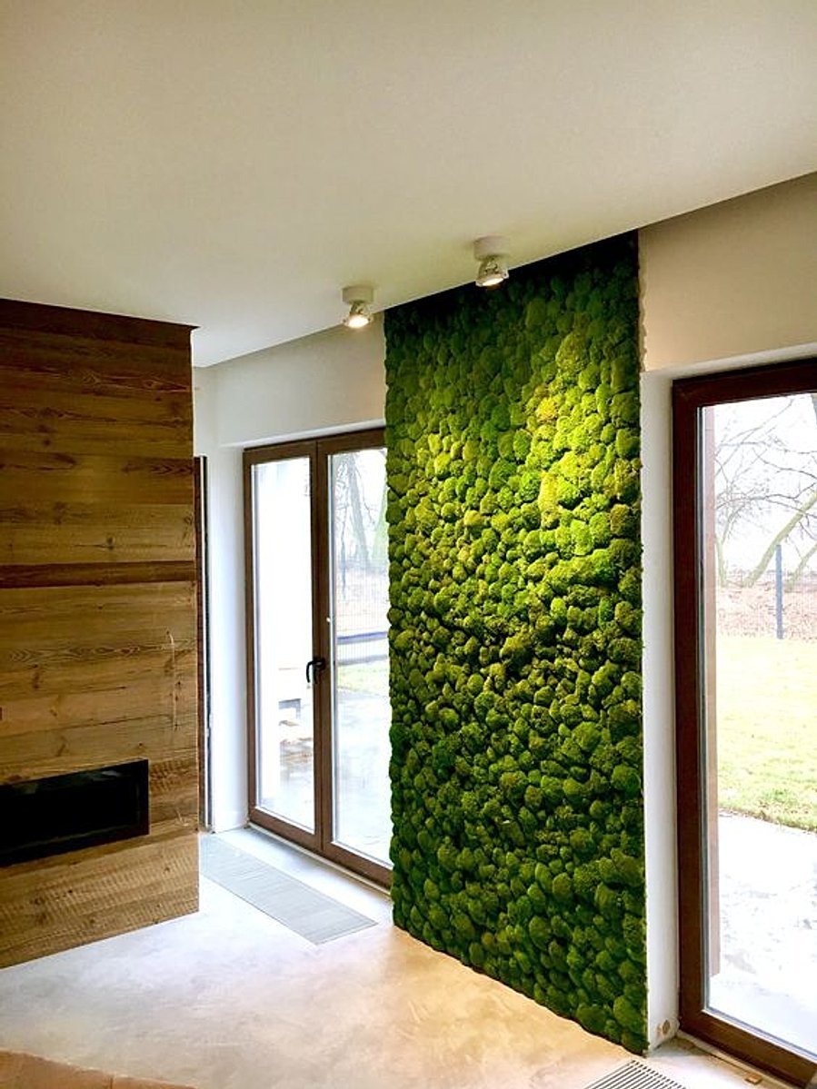 Preserved High-End Moss Wall