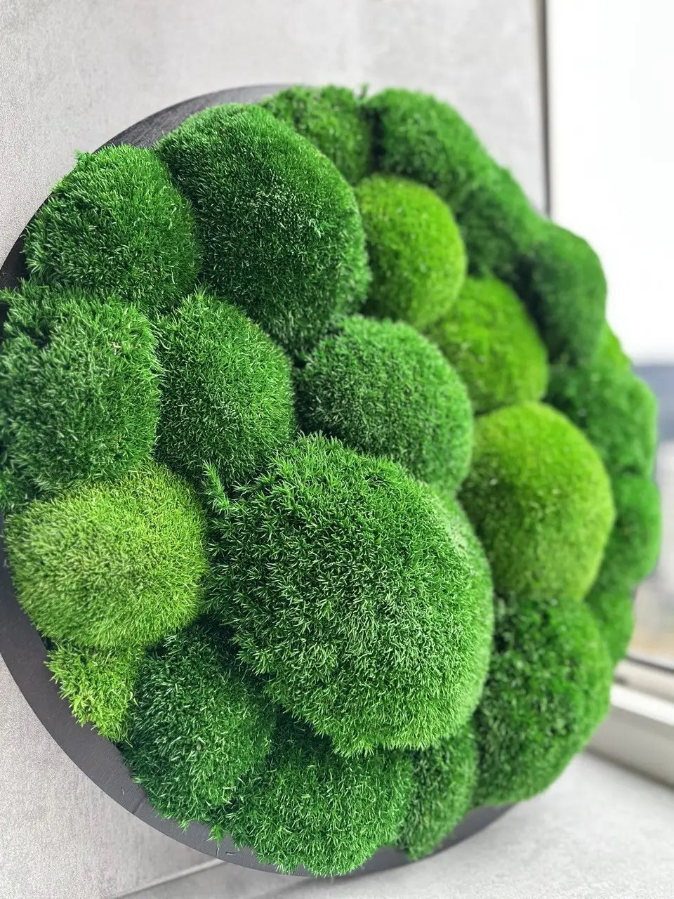 Luxe Moss Frame Wall Art