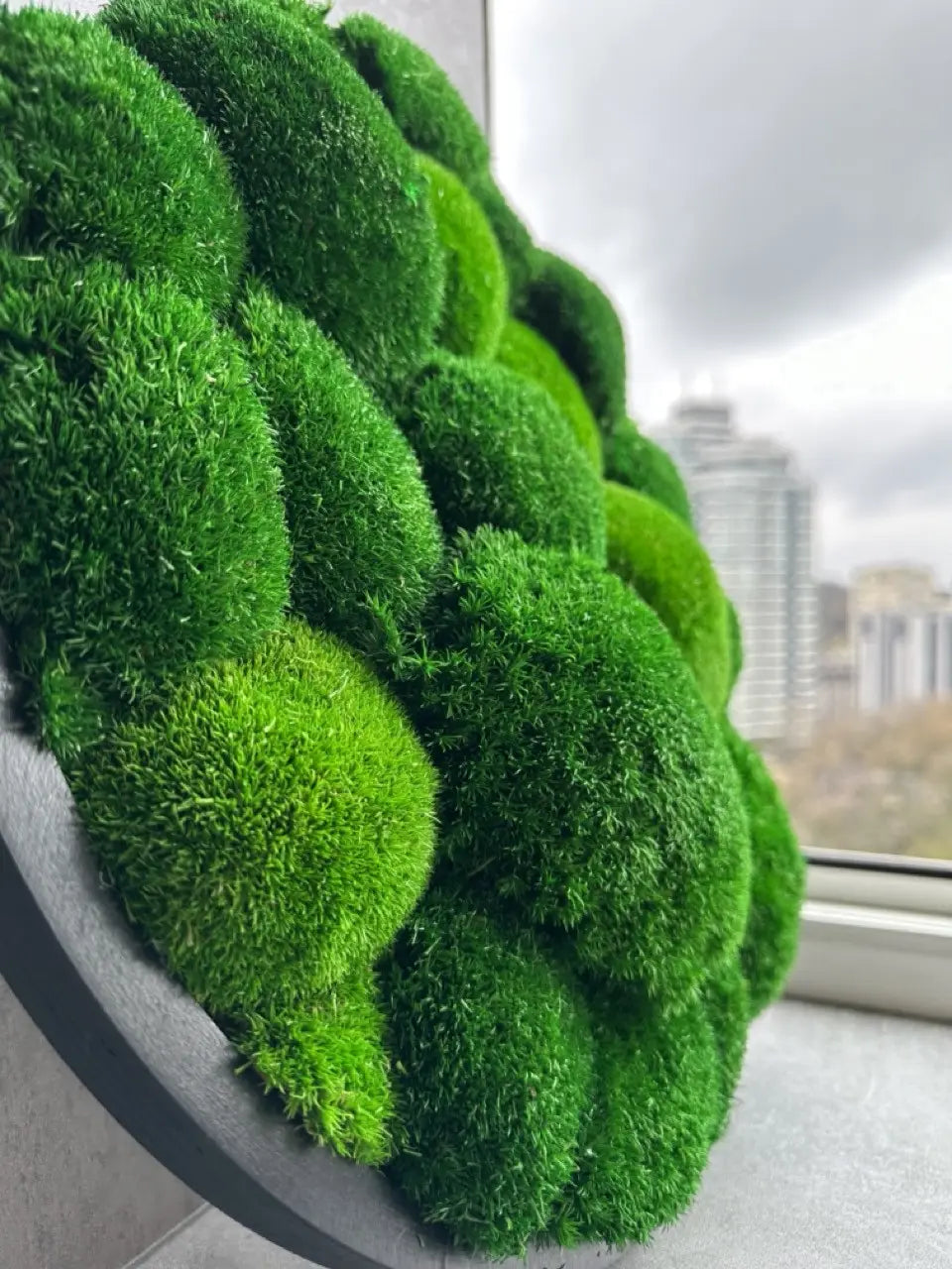 Luxe Moss Frame Wall Art