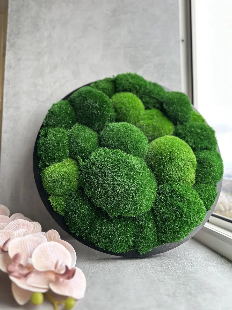 Luxe Moss Frame Wall Art