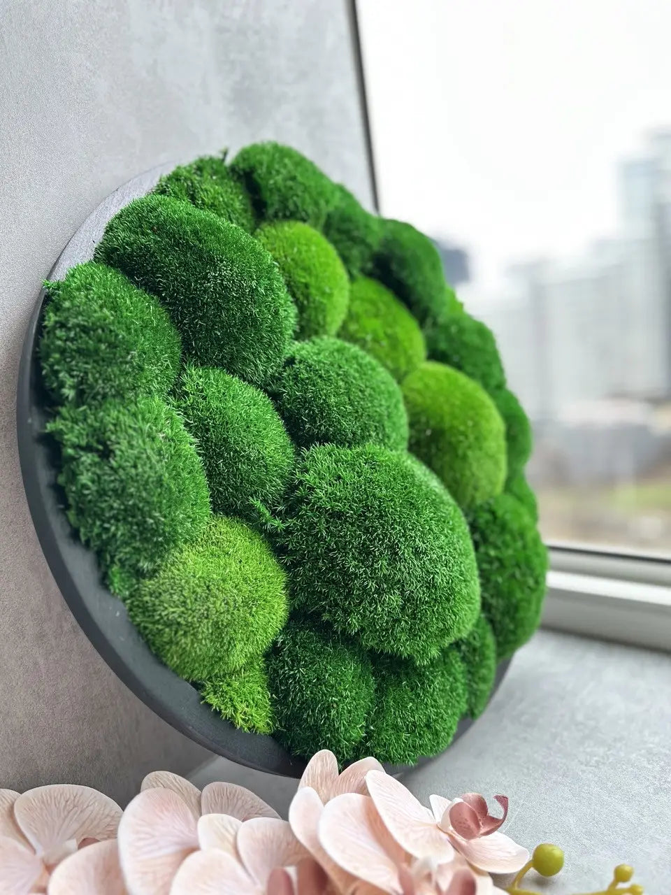 Luxe Moss Frame Wall Art