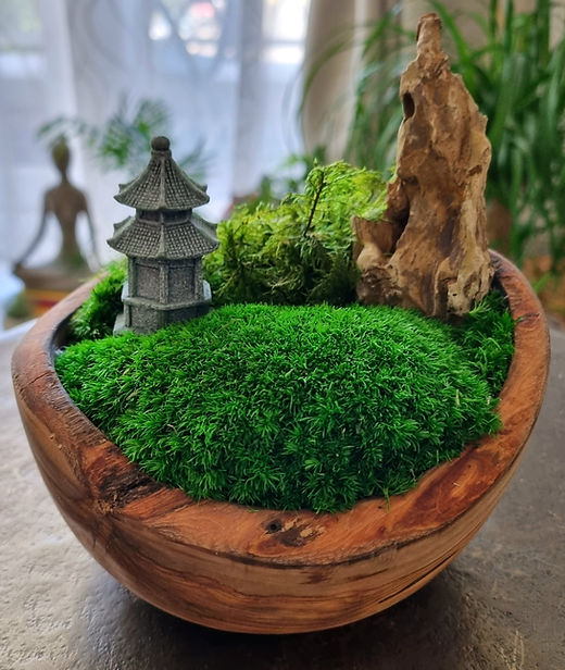 Zen Moss Bonsai Centerpiece