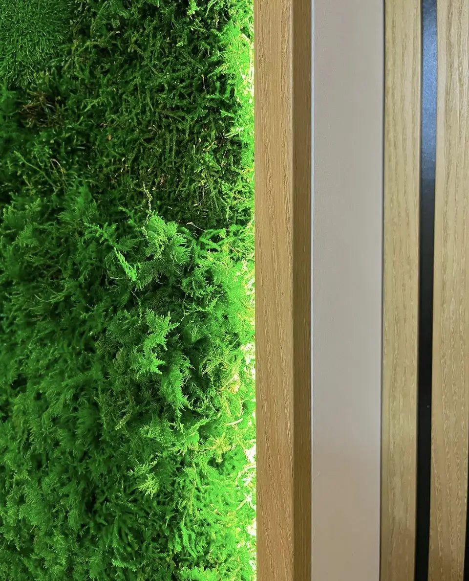 "Lushscape Panel" Preserved Moss Wall