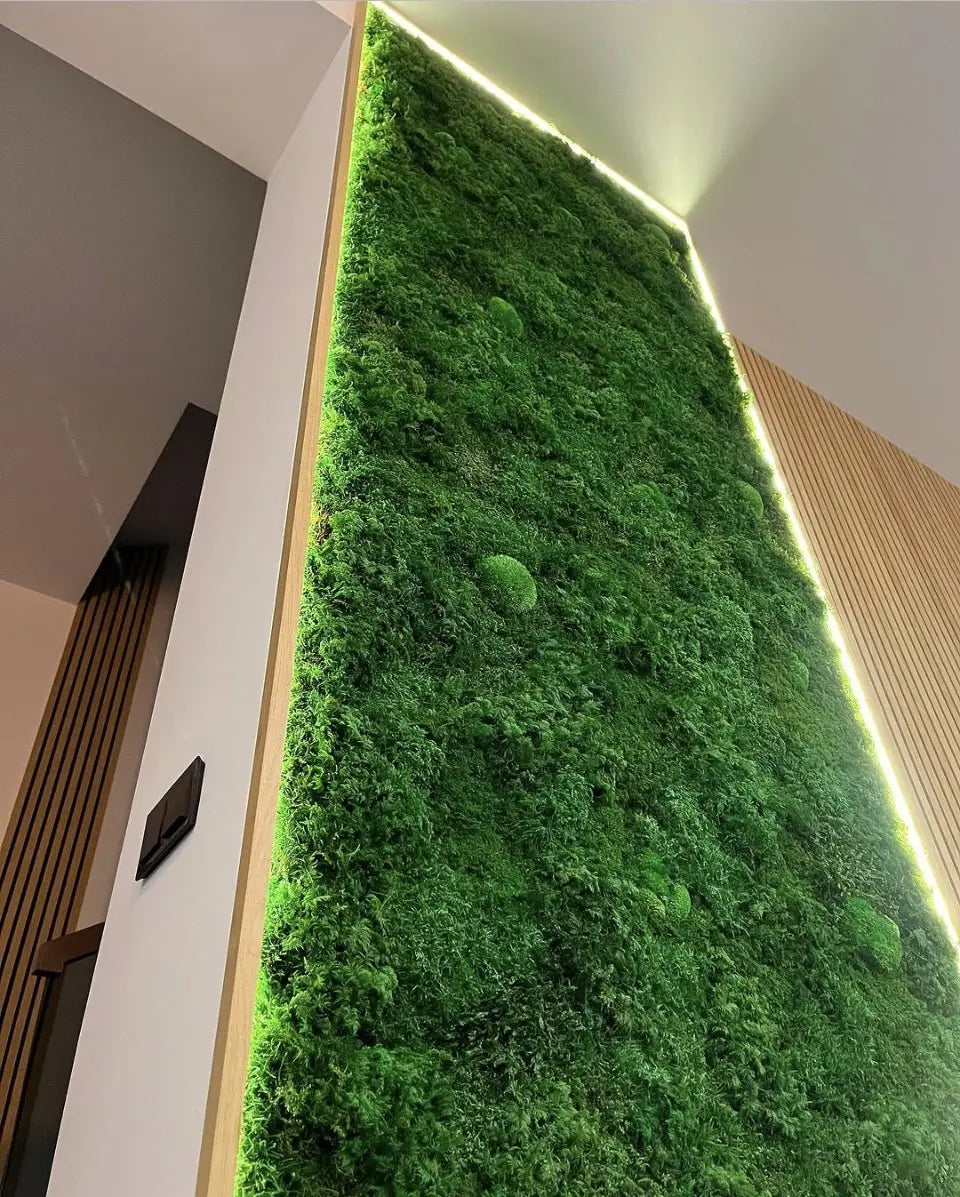 "Lushscape Panel" Preserved Moss Wall