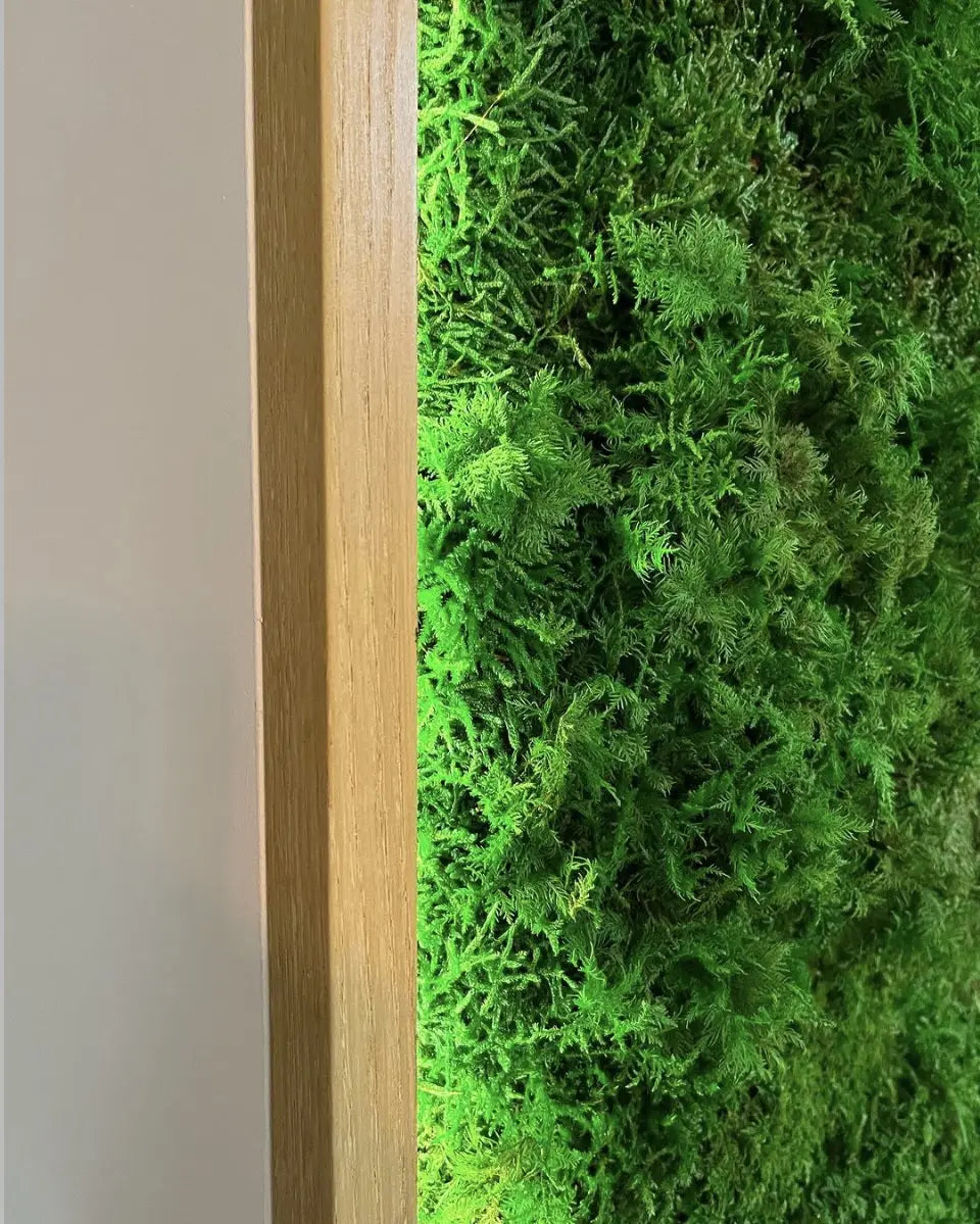 "Lushscape Panel" Preserved Moss Wall