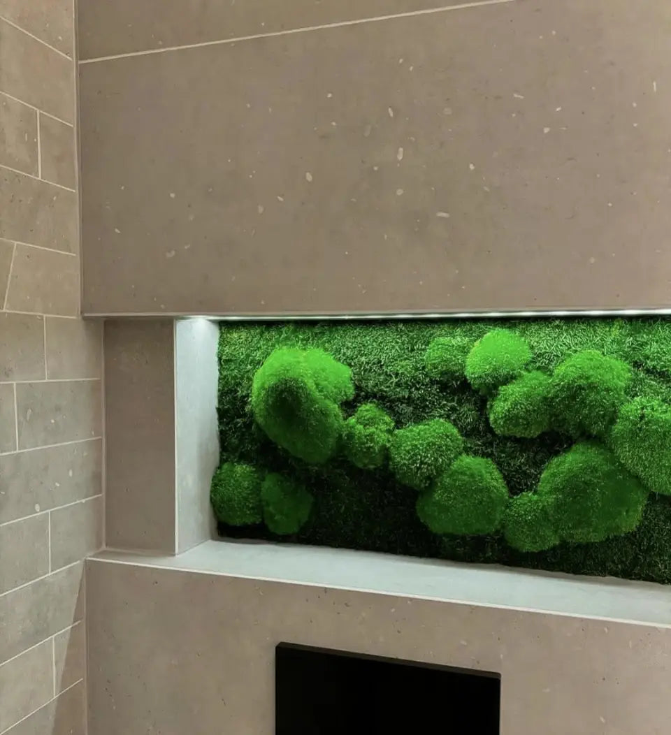 "Eco Moss Niche" Preserved Moss Wall