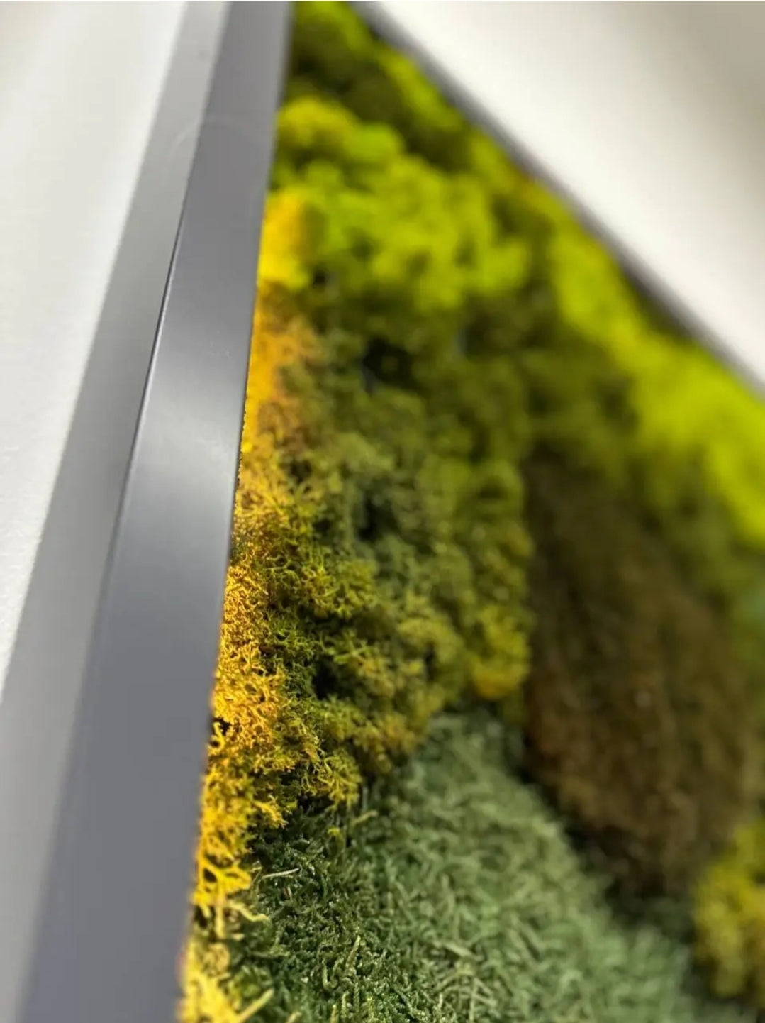 "Luminous Green Haven" Preserved Moss Wall Art Frame