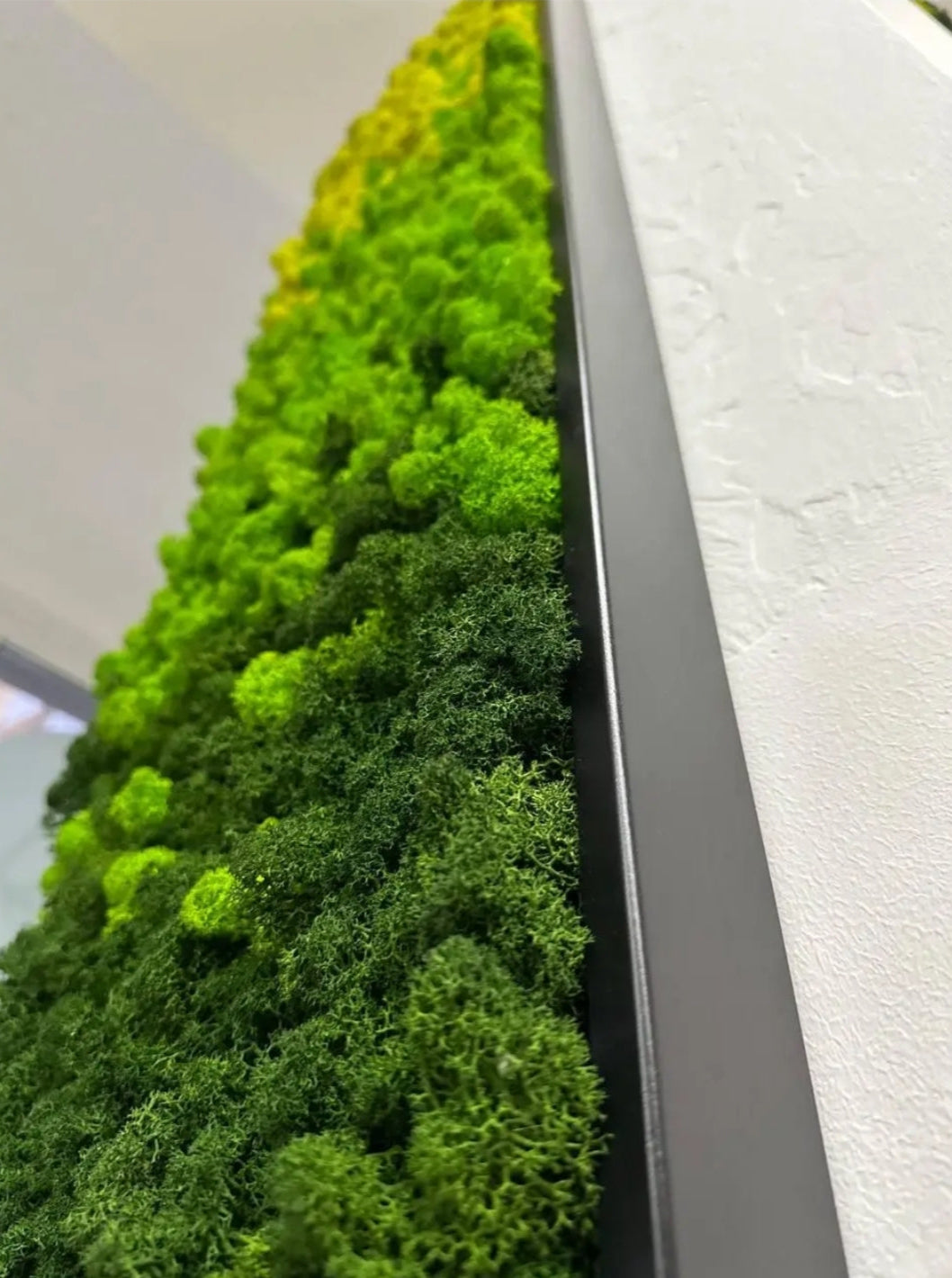 Vertical Gradient Moss Wall Panel