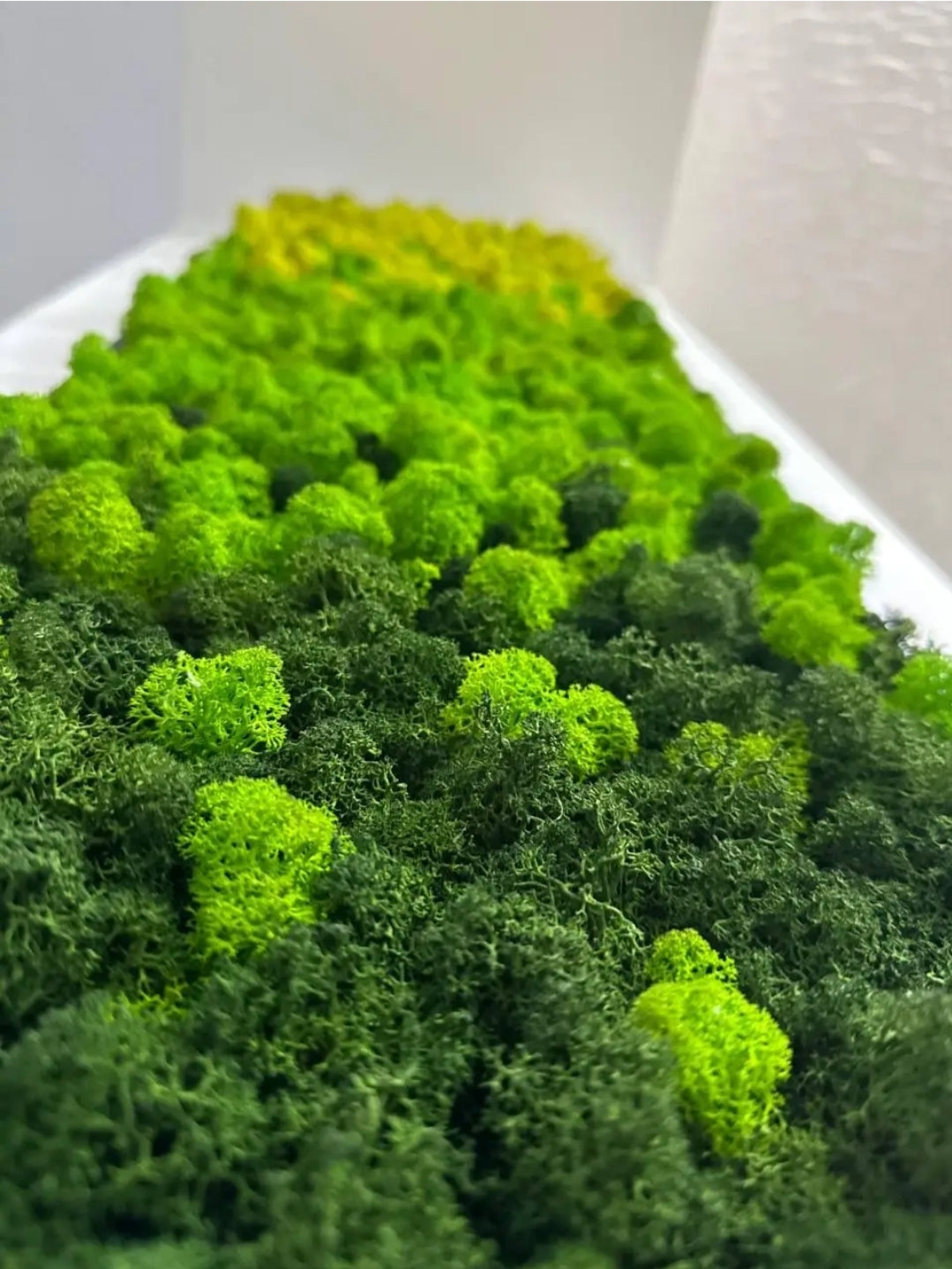 Vertical Gradient Moss Wall Panel