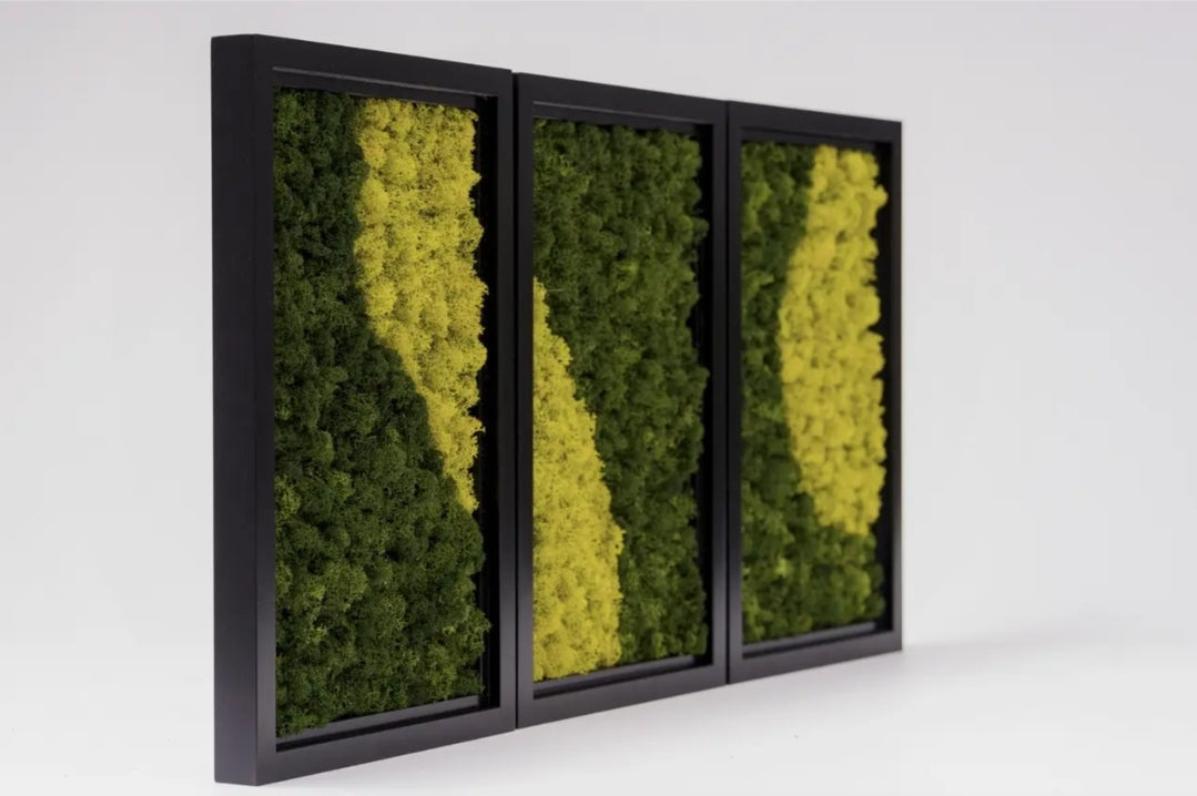 Trio Color-Block Moss Wall Frames Set Of 3