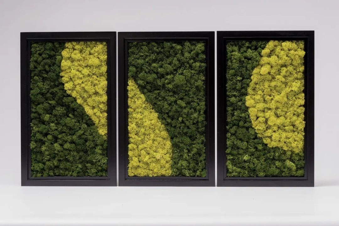 Trio Color-Block Moss Wall Frames Set Of 3
