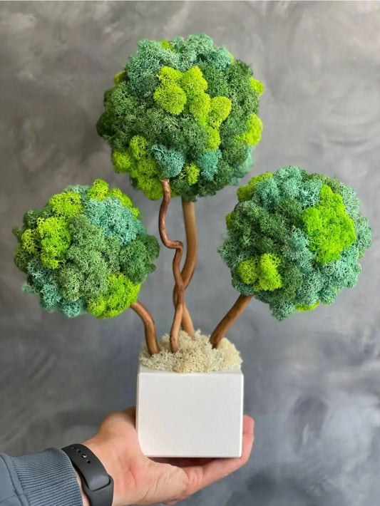 Miniature Preserved Moss Bonsai Tree