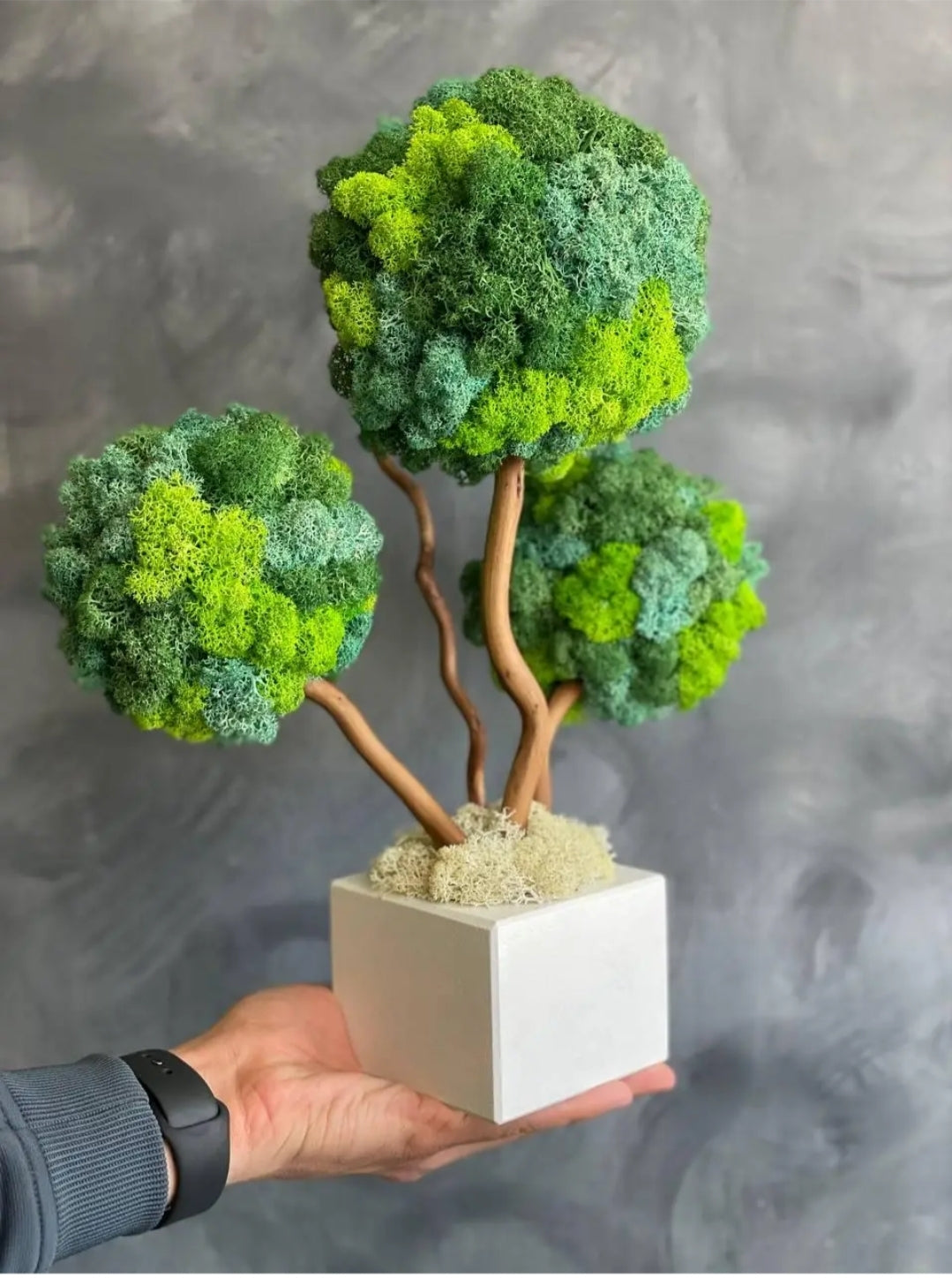 Miniature Preserved Moss Bonsai Tree