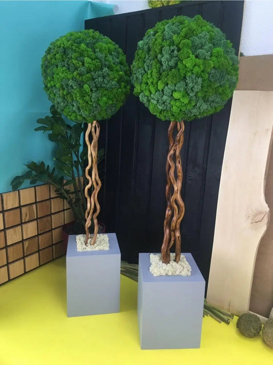 Preserved Moss Topiary Tree