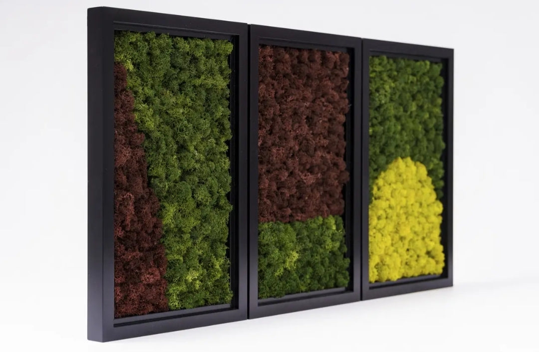 "The Mosscape" Moss Wall Frame Set Of 3