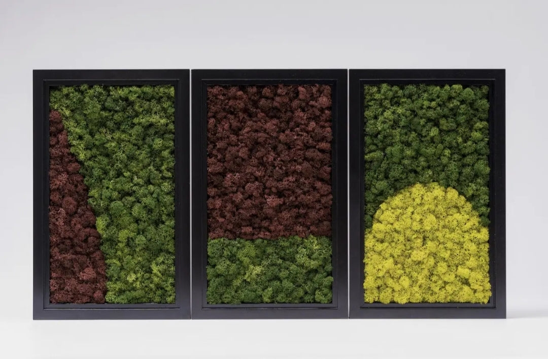 "The Mosscape" Moss Wall Frame Set Of 3