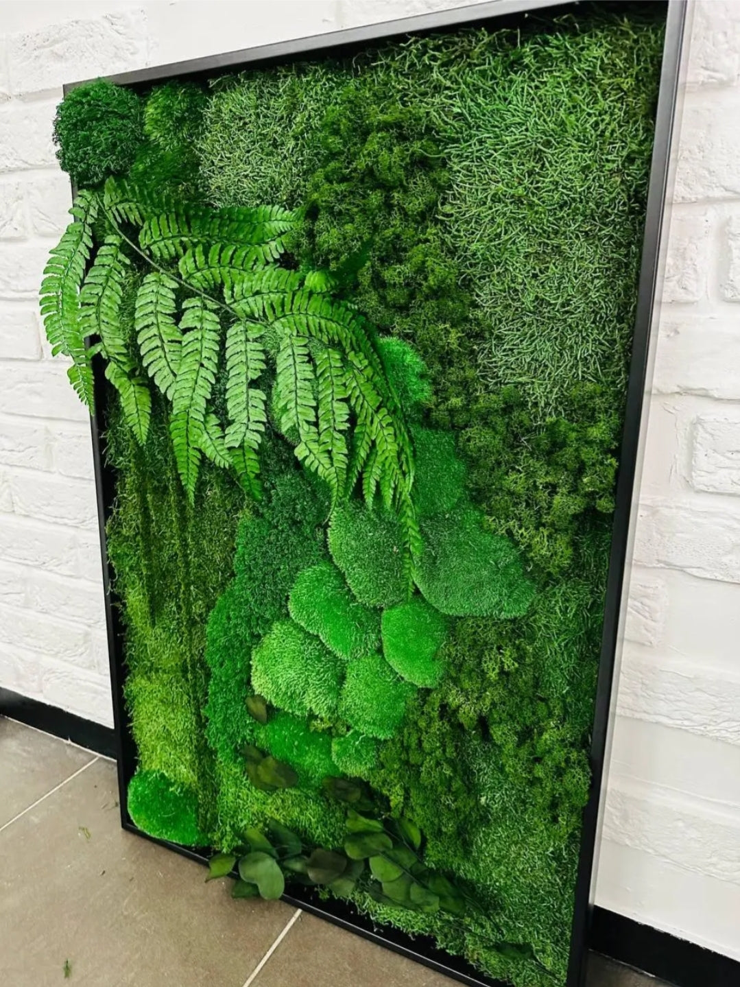 "Botanical Bliss" Preserved Moss Frame