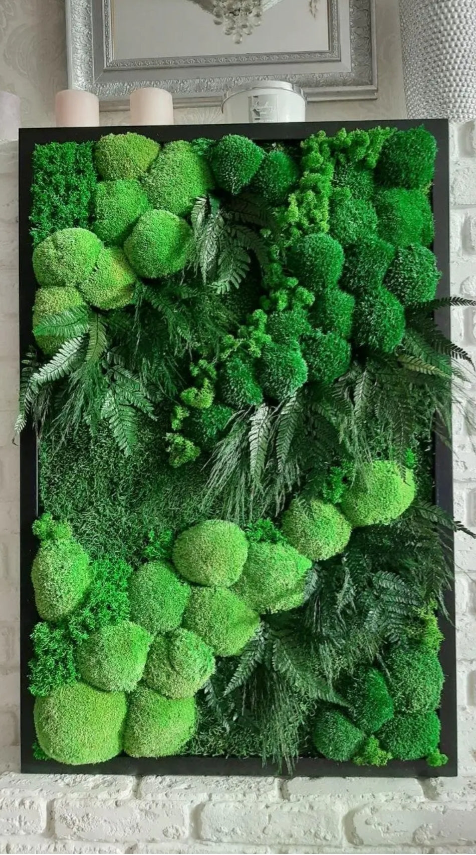 "NatureLux" Moss Frame