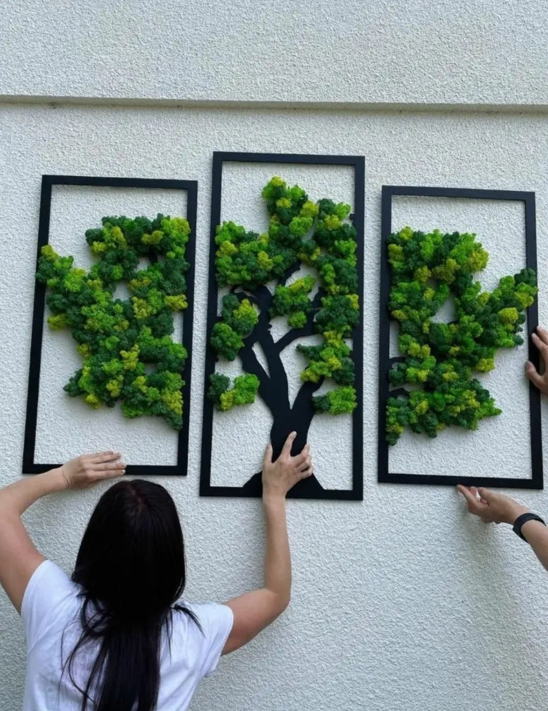 A Three-Panel Masterpiece Preserved Moss Wall Frame
