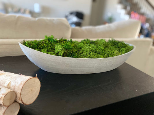 Preserved Moss Oval Bowl Arrangement