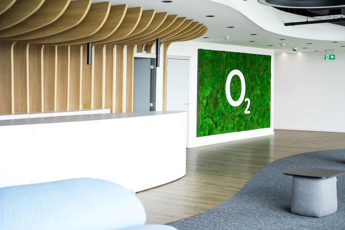 Preserved High-End Moss Wall