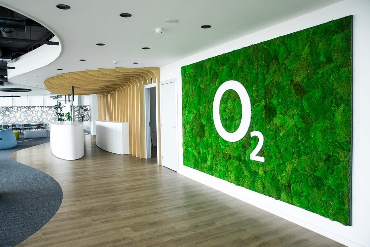 Preserved High-End Moss Wall