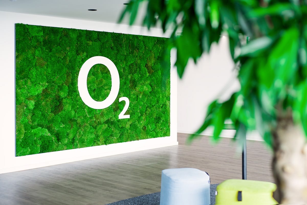 Preserved High-End Moss Wall