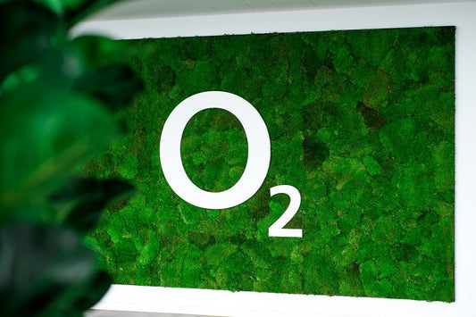 Custom Wall Moss with Logo